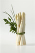 Spargel stehend mit Petersilie