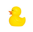 Yellow Rubber Duck
