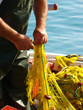Foto: Fischfang Fischfang