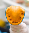 Dental imprint