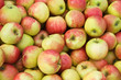 Apple background