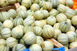 Moulon de Melons