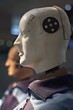 Portrait of a crashtest dummy. Portrait of a crashtest dummy.