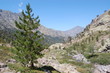 Korsika