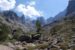 Corse Corse