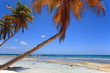 Tropical beach at Punta Cana, Dominican Republic Tropical beach at Punta Cana, Dominican Republic
