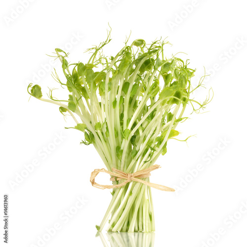 Erbsensprossen Erbsensprossen