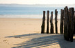 Traditional wooden stakes at Saint-Malo (Brittany, France)