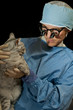 Cat and Veterinarian Cat and Veterinarian