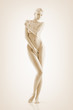 Body plastic