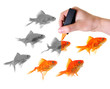 Foto: giving life to a group of goldfish giving life to a group of goldfish