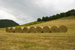 presse di fieno su campo