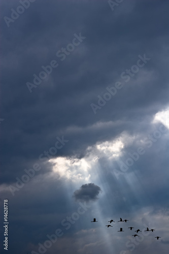 Rays of light shining through dark clouds and birds fly by