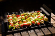 Vegetable Barbecue Shish-kebab Vegetable Barbecue Shish-kebab