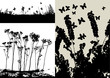 collection for designers, plant vector collection for designers, plant vector