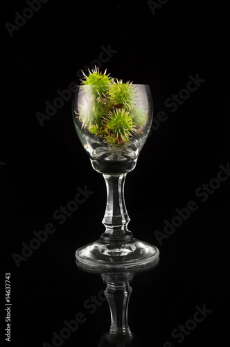 Photo: Glass full of chestnuts Glass full of chestnuts