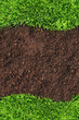 Grass and soil frame