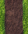 grass and soil background