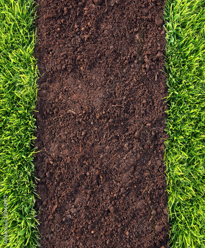 Grass And Soil Background