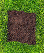 Grass and soil frame Grass and soil frame