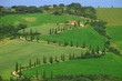 Zypressenallee, La Foce, Val d Orcia, Toskana, Italien