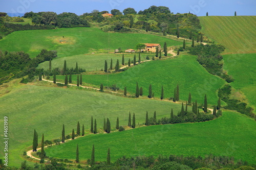 Foto: Zypressenallee, La Foce, Val d Orcia, Toskana, Italien Zypressenallee, La Foce, Val d Orcia, Toskana, Italien