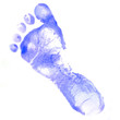 baby left footprint baby left footprint