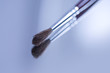 Paint brush
