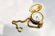 Gold watch