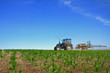 Tractor plowing the fields horizontal