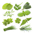 herb