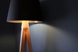 Lampadaire et abat-jour