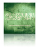 grunge flag of saudi arabia with shadow