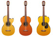Guitares sèches Guitares sèches