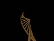 DNA