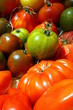 Tomates anciennes