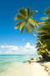Plage tropicale