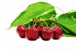 cerezas