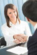 Businesspeople, or business person and client handshaking