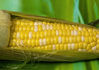 Photo: SWEET CORN SWEET CORN