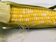 Photo: SWEET CORN SWEET CORN