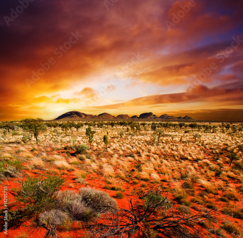 Fototapeta Sunset Desert Beauty