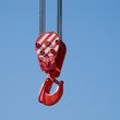 Crane hook