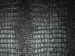 snake skin