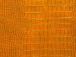 Photo : Golden snake skin texture Golden snake skin texture