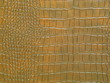 Photo : Golden dragon texture Golden dragon texture