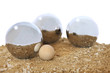 petanque petanque