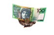 money against white background