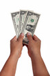 dollar notes against white background dollar notes against white background
