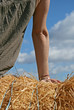 bras de femme sur une botte de paille